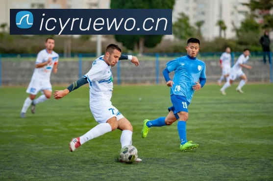 星空官网登录入口服务体系